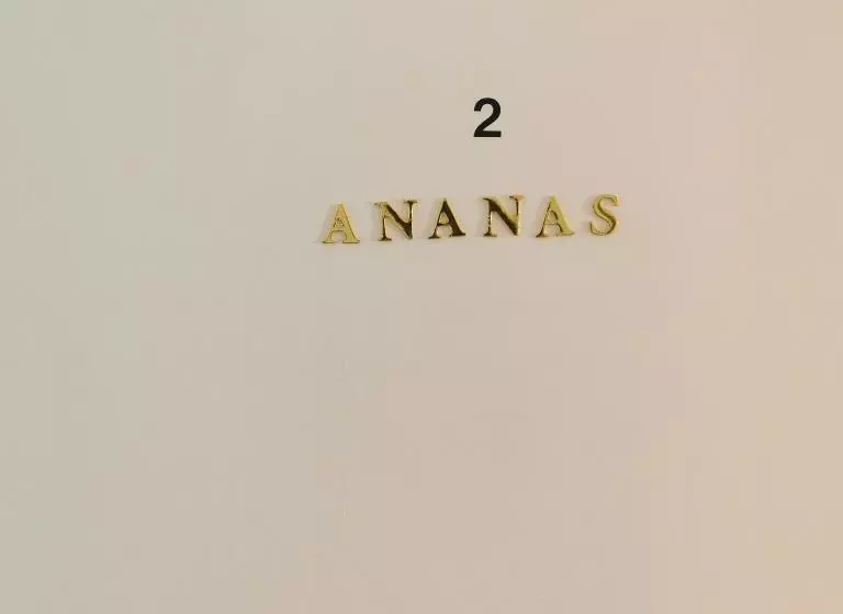 پانسیون Chambre Ananas à Saint Marceau
