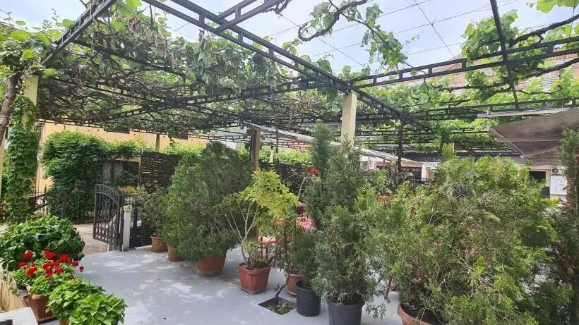 پانسیون Guest House Andrea