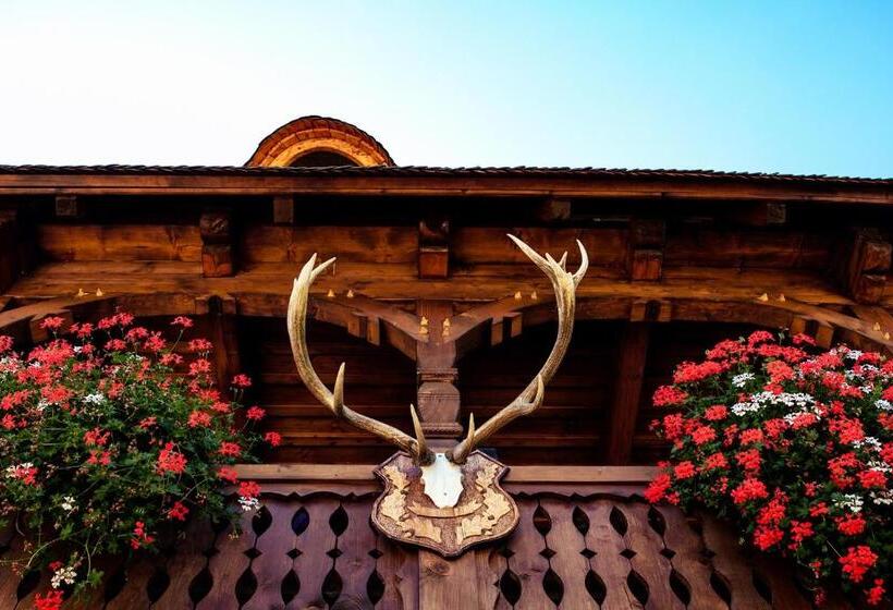 بنسيون River Song Inn