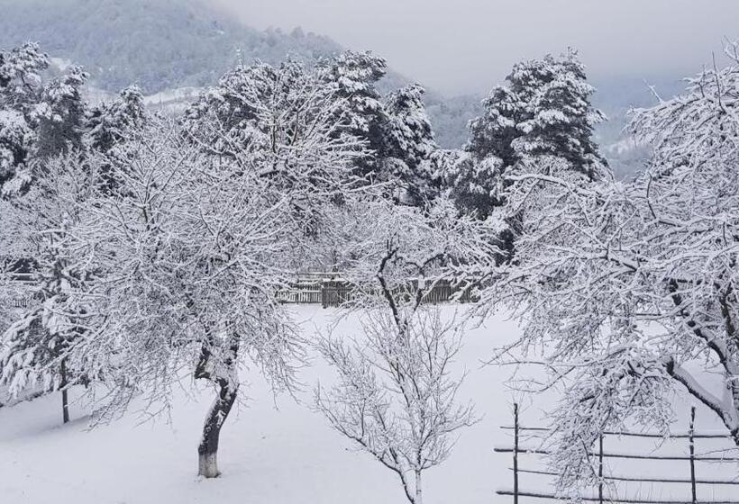 بنسيون River Song Inn