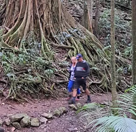 Aamiaismajoitus (B&B) Brisbane 1960s Pool House