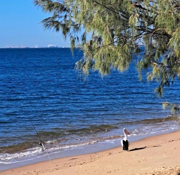 住宿加早餐 Brisbane 1960s Pool House