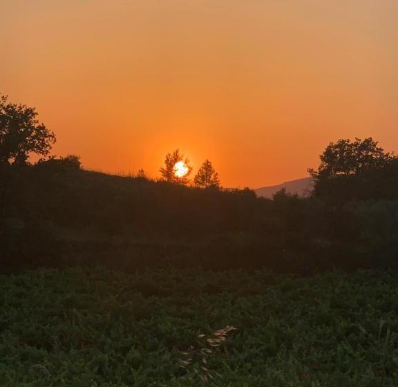 Bed and Breakfast Côté Ansouis