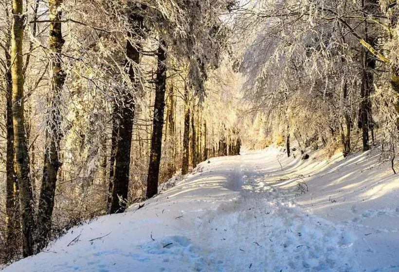 ベッドアンドブレックファースト La Bouletière