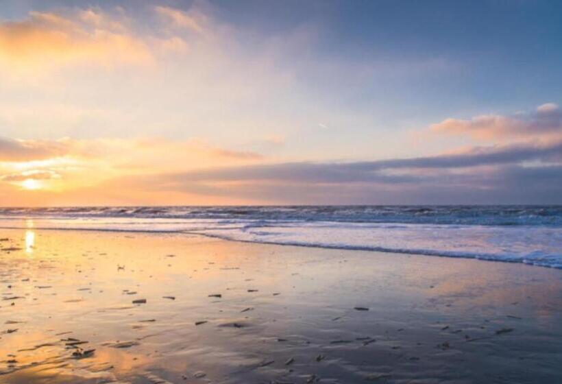 تختخواب و صبحانه Tranquil Guest House