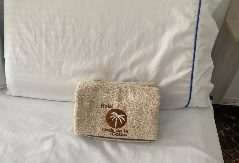 ホテル Deluxe Oasis De La Colina Boutique