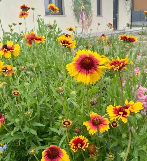 Il Giardino Di Sofia B&b