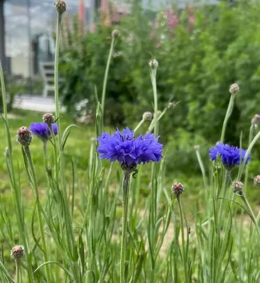 Il Giardino Di Sofia B&b