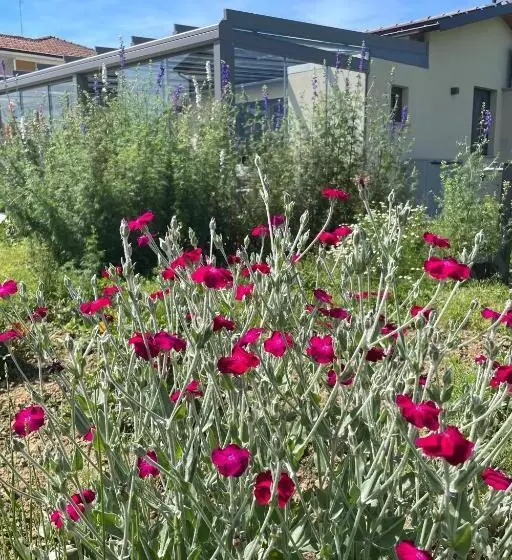Il Giardino Di Sofia B&b