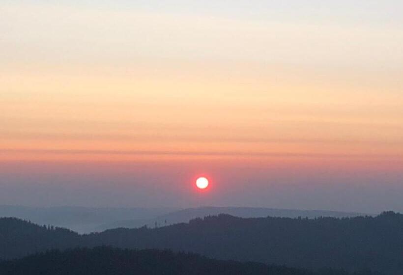 膳宿费 Forest Apartment Mountain Escape Menzenschwand