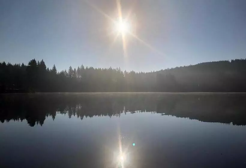 Majatalo Forest Apartment Mountain Escape Menzenschwand