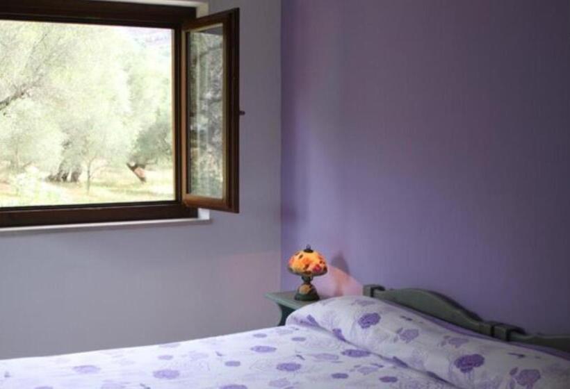 住宿加早餐  Antiche Macine