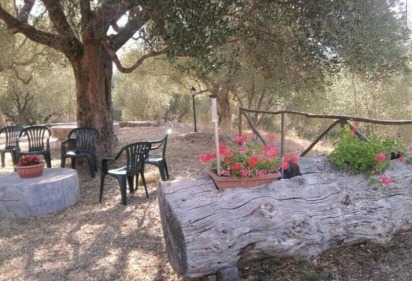 住宿加早餐  Antiche Macine