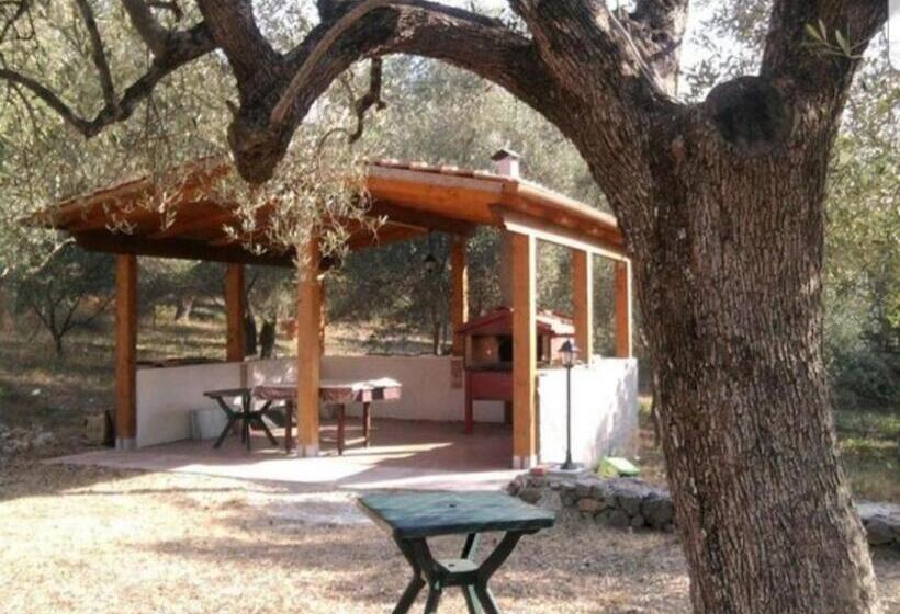 住宿加早餐  Antiche Macine