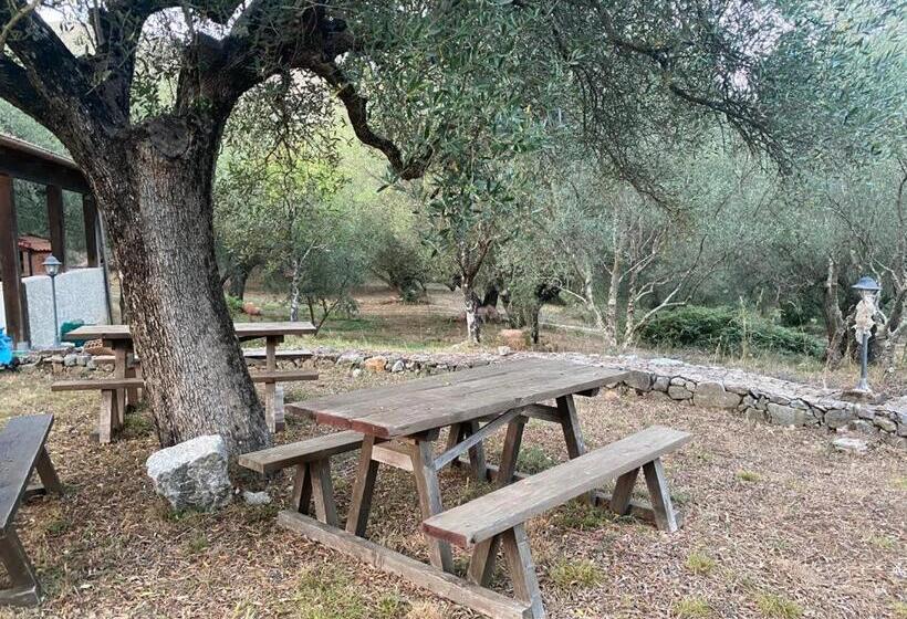 住宿加早餐  Antiche Macine