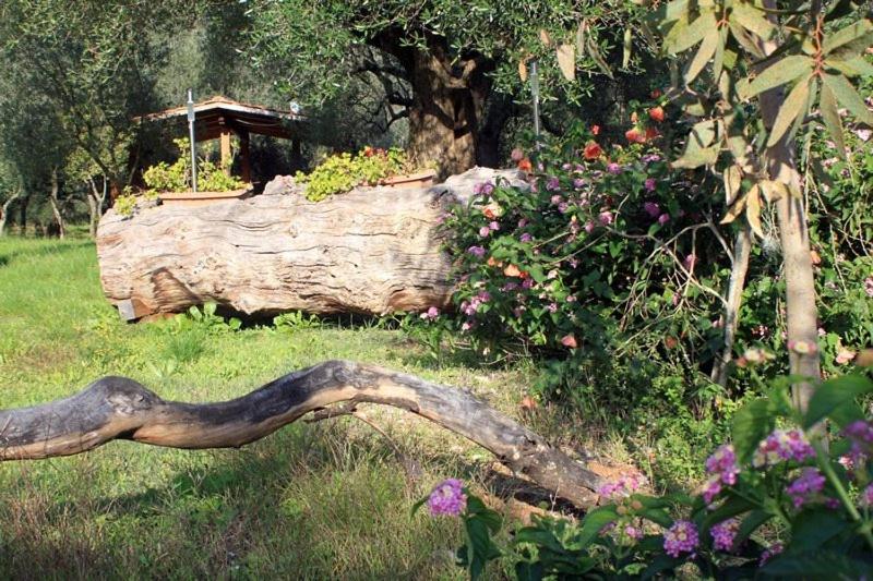 住宿加早餐  Antiche Macine