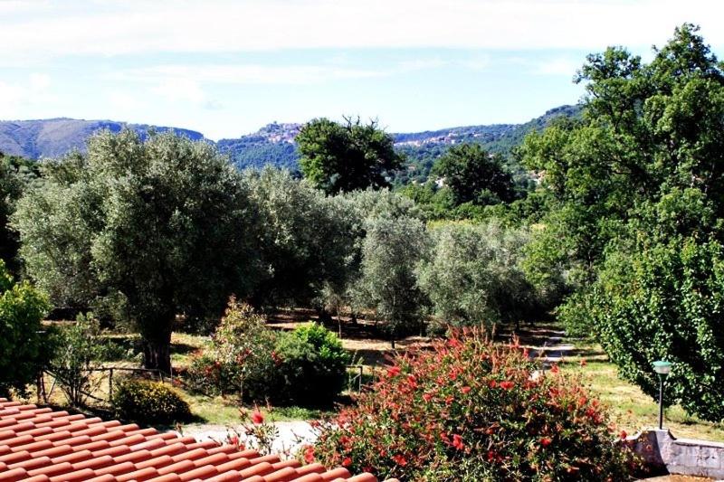 住宿加早餐  Antiche Macine