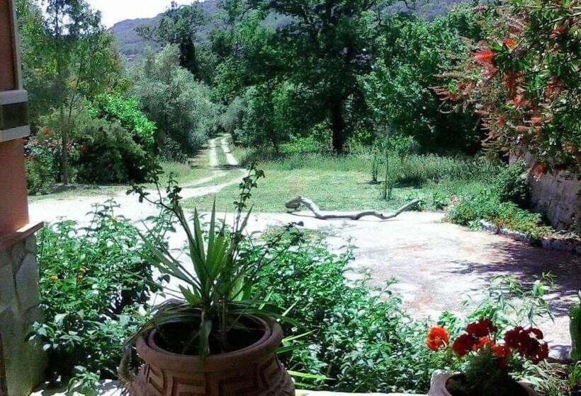 住宿加早餐  Antiche Macine