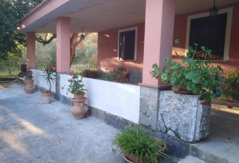 住宿加早餐  Antiche Macine