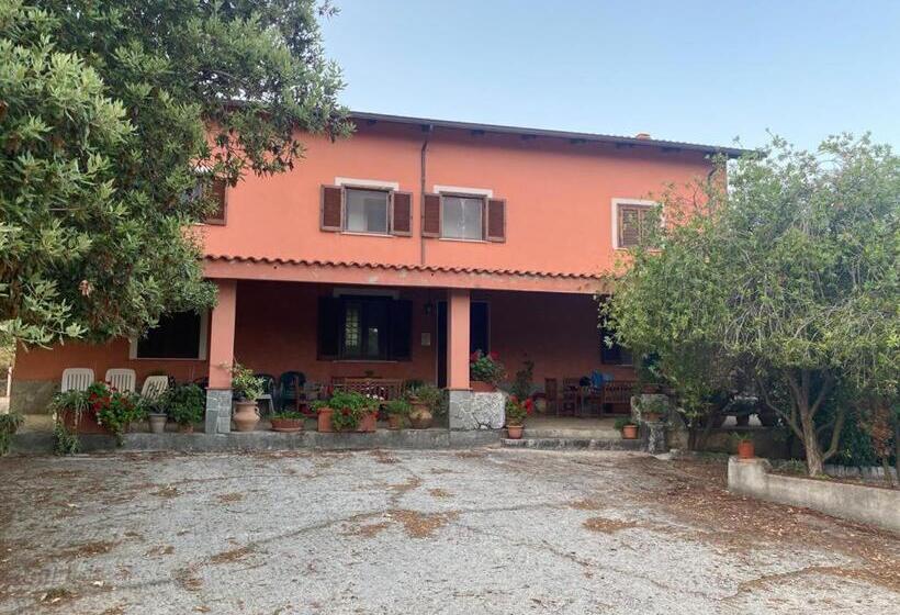 住宿加早餐  Antiche Macine