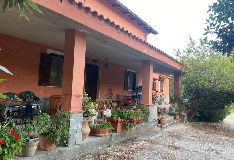 住宿加早餐  Antiche Macine