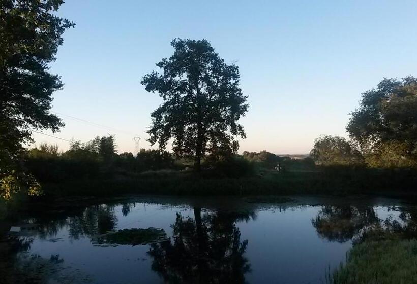 تختخواب و صبحانه La Ferme Du Bascou