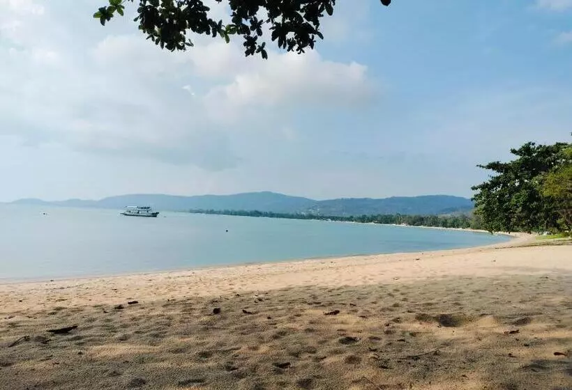 Jigsaw Cafe & Resort