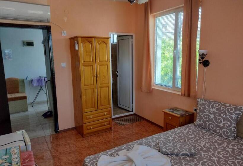 Pensió къща за гости янка