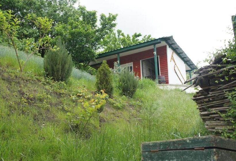 پانسیون Casa Bella Turda