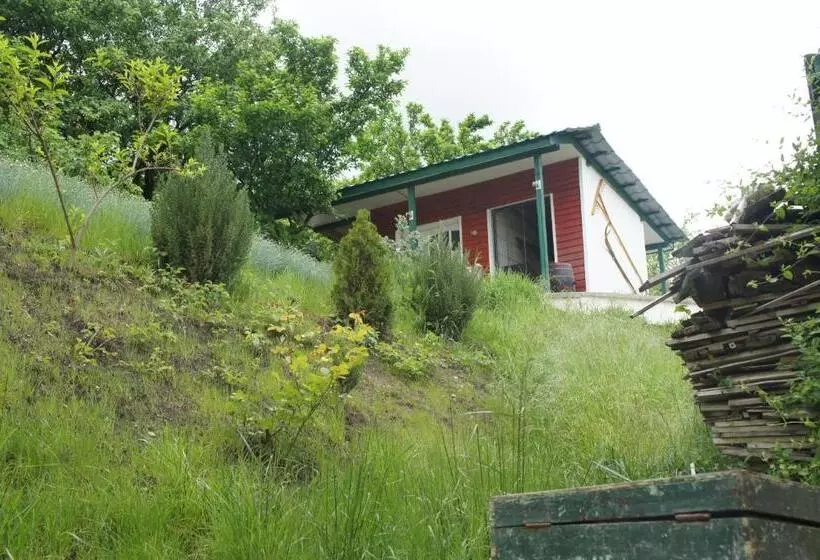 ペンション Casa Bella Turda