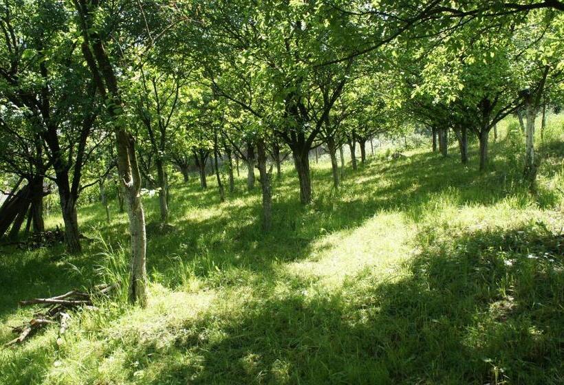 پانسیون Casa Bella Turda