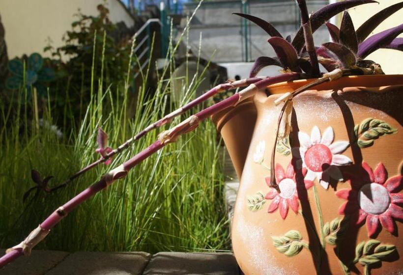 پانسیون Casa Bella Turda