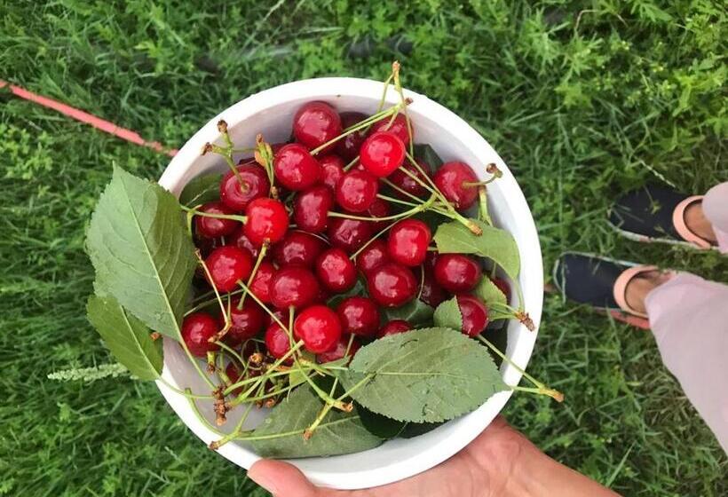 پانسیون Guest House Baian Suluu