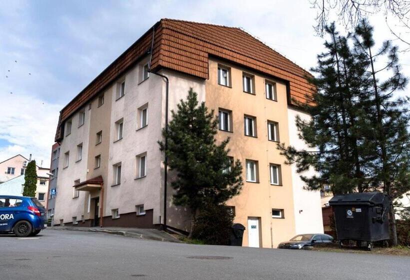 Pension (Hôtel basse catégorie) Ubytovani Ve Frydku Mistku   Vhodne Pro Firmy I Jednotlivce