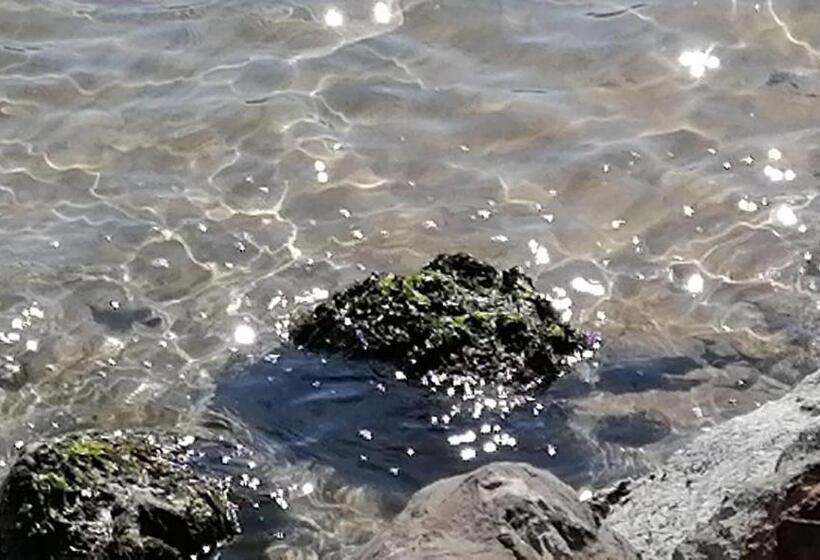 Pensjonat Villa Casarza