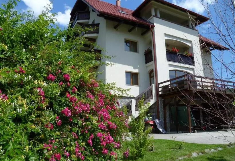 Pension Irina