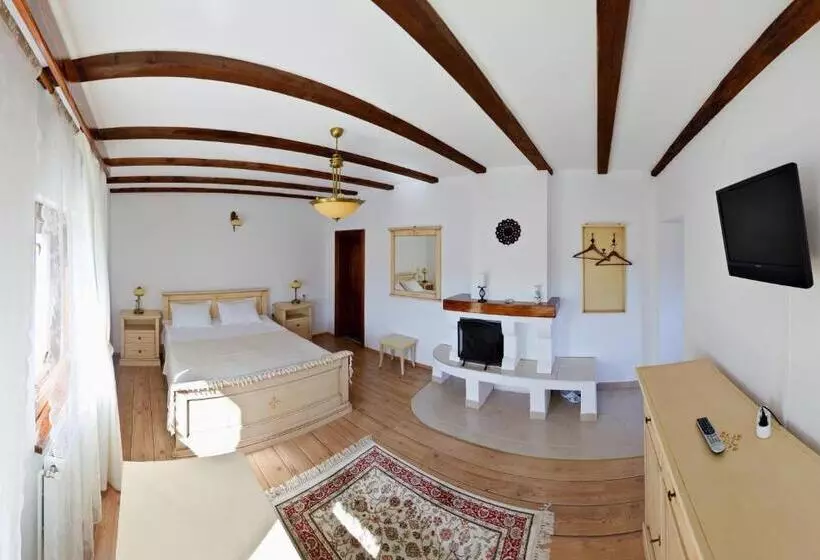 Pension Irina