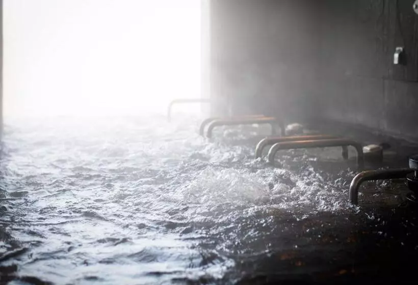 Ryokan 天然温泉ひなたの宿日南宮崎