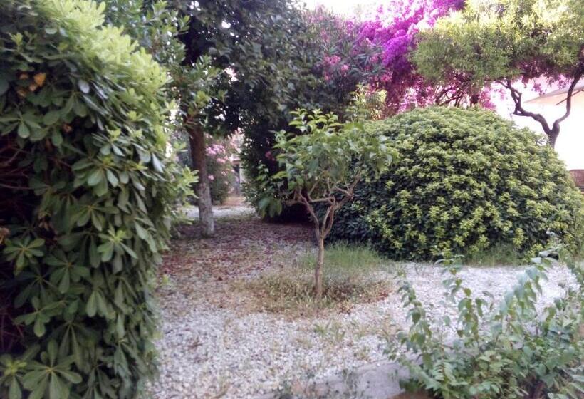 Residence Santa Maria Suites