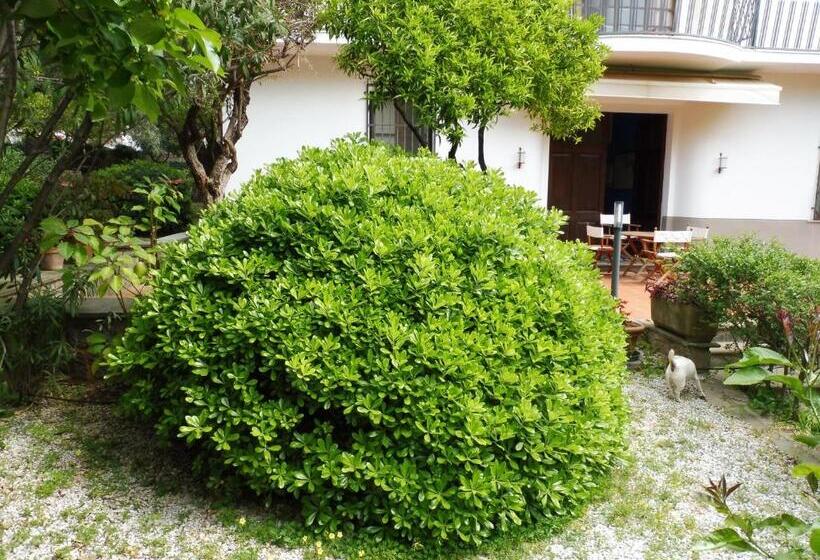 Residence Santa Maria Suites