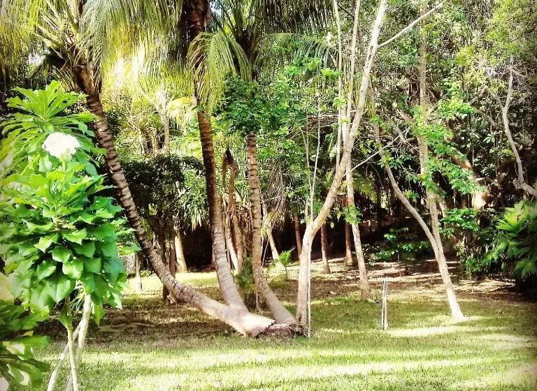 تختخواب و صبحانه Casa Kin33