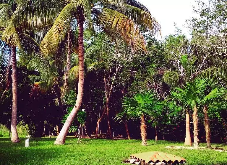 تختخواب و صبحانه Casa Kin33