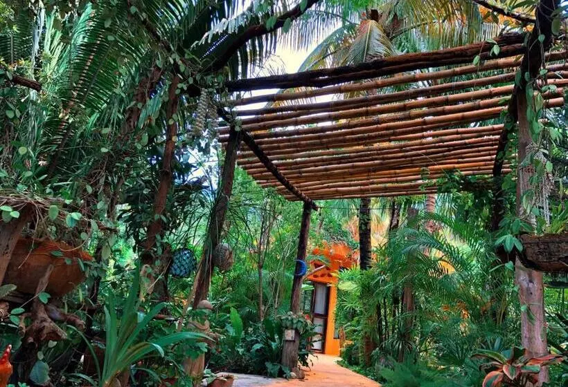 تختخواب و صبحانه Casa Kin33