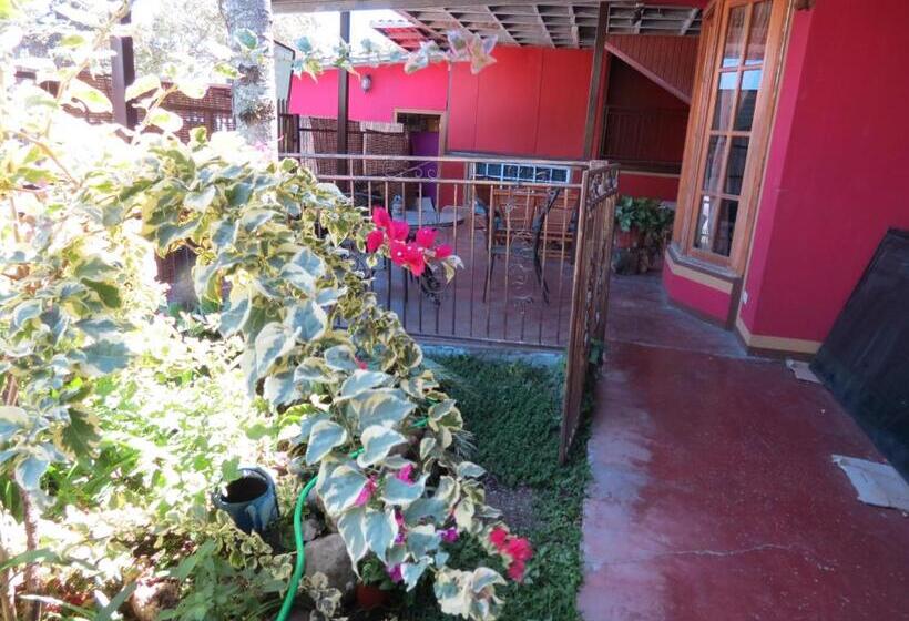 تختخواب و صبحانه Creadora