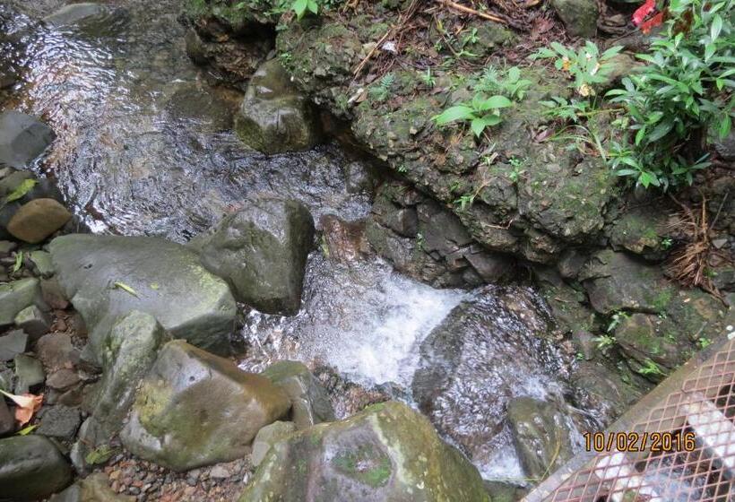 تختخواب و صبحانه Creadora