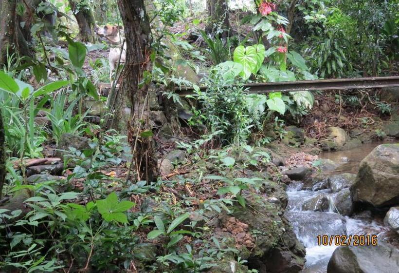 تختخواب و صبحانه Creadora