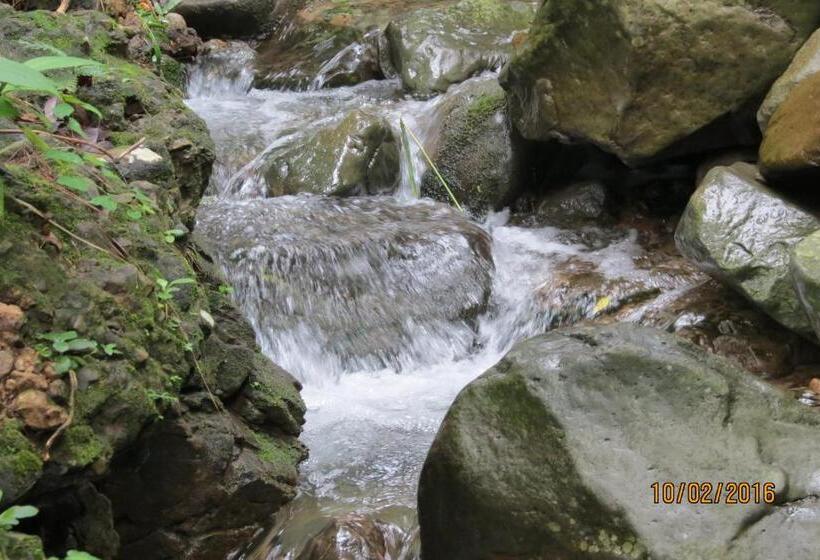 تختخواب و صبحانه Creadora