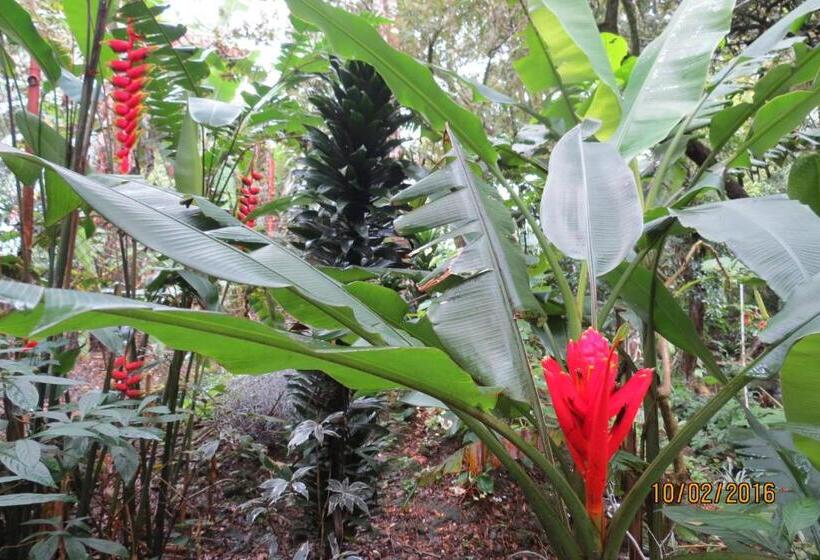 تختخواب و صبحانه Creadora