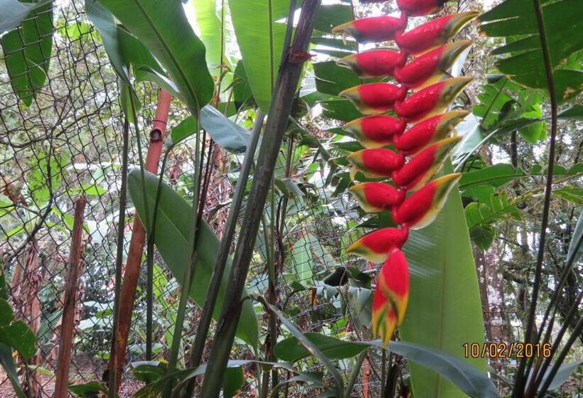 تختخواب و صبحانه Creadora