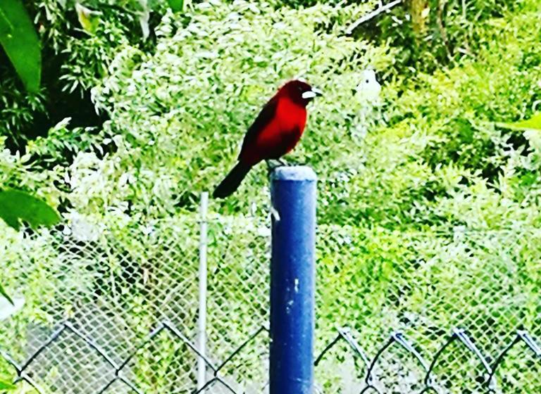 مبيت وإفطار La Perla De Farallon